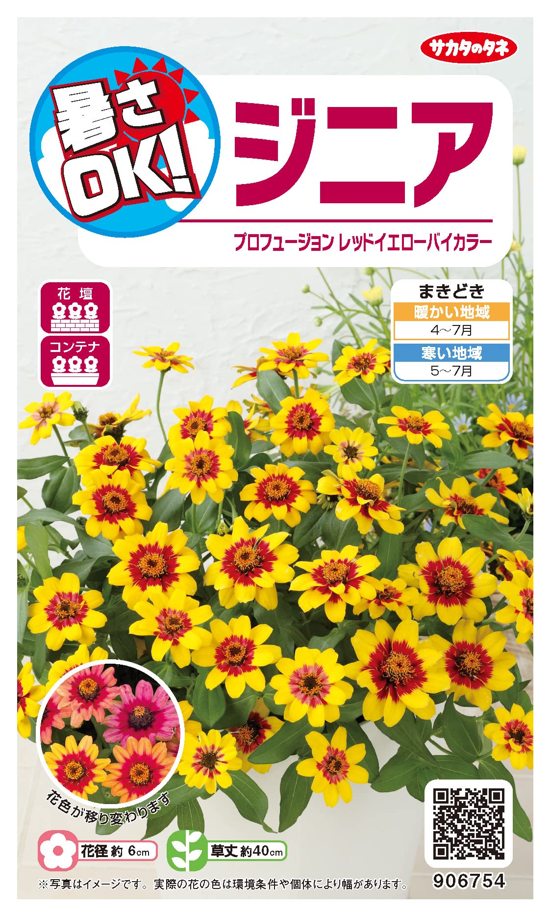 サカタさん Amazon.co.jp: サカタのタネ ジニア プロフュージョンレッド